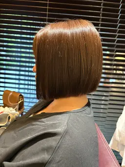 ◽︎ ボブカット