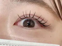 持続力No. 1❤️‍🔥ダブルフラット120本(片目30束)