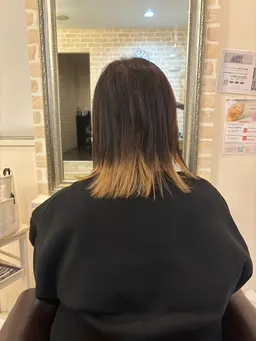 ハイライト インナーカラローライトなどはこちら