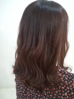 [全員]　低刺激カラー🌿カット💇トリートメント✨