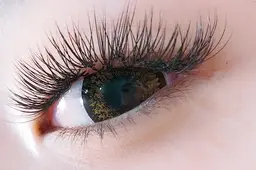 初回🌈･*🌷【公式】オフ込・メガフラット90分付け放題✨　2度目までOK!　　6000円