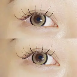 《🕊️ご新規様限定🕊️》 フラットラッシュ120本🦋‪𓂃 𓈒𓏸 【オフ無し】