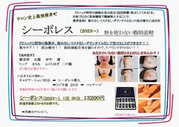 SALE🉐新痩身＆小顔✨シーボレス2023〜　クリニック同等のケアで頑固な脂肪と楽してさよなら👋　※メンズ可