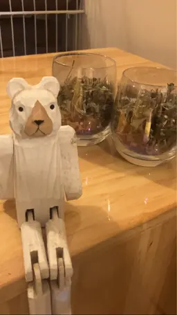 よもぎ蒸し30分🌿スタンダードコース
