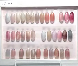 マグネットネイル10本(オフなし)