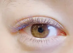 12/17限定1枠　カラーエクステ上120本　モデル募集✨⚠︎JかCカールのみ長さ12mmまで所要時間2時間