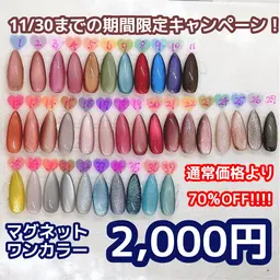 【CP】秋冬マグネットネイルワンカラー【限定11色のみ対象】（オフあり）
