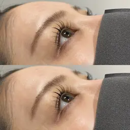 最高級フラットマット120本オフ無料