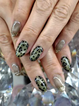 【オフ有り】1カラー＋アニマル柄4本