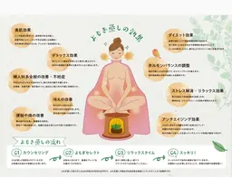 体質改善 温活人気セット♡黄土よもぎ蒸し➕耳ツボジュエリー10個