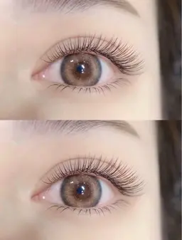 ⭐️ラッシュリフト上マツパ＋下20本マツエクセット⭐️ コラーゲン美容液付