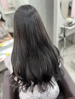 ワンカラー+トリートメント