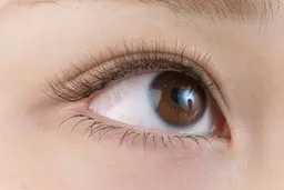 ミニモ限定クーポン11/30までご新規様限定🌼ボリュームラッシュ300本オールカラー🌼オフ500円🌟