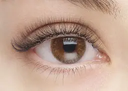 3Dボリュームラッシュ80束（オフ込み+アイシャンプー付き）