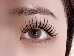 🎀フラットラッシュ✨国産グルー✨マツエクつけ放題１１月限定メニュー🎀