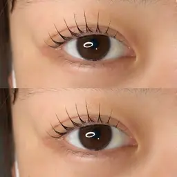 【本日限定】パリジェンヌラッシュリフト(CT付き)