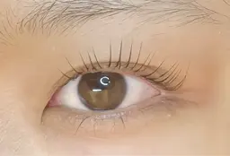 ❤︎パリジェンヌラッシュリフト❤︎トリートメント&コーティング付