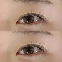 ✨️‎フラットラッシュ120本(オフ込)‎✨️