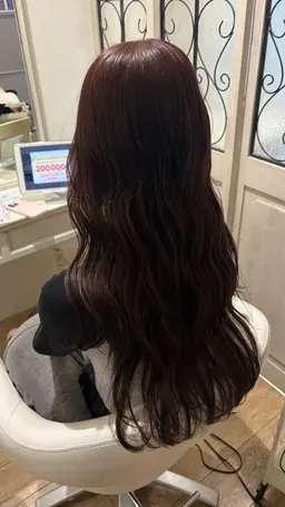 カット(3cm以上カットできる方限定)➕髪質にあったトリートメントメニュー