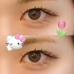 フラットラッシュ1時間つけ放題