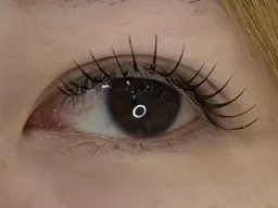 LEDボリュームラッシュ300本✨