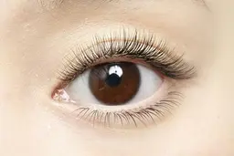 【11/30まで】マツエク　フラットラッシュ込み　80本　1000円★お付け足し不可★⚠90分