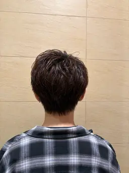 カット+ワンカラーモデル