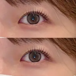 パリエク (フラットプラス50セット100本)