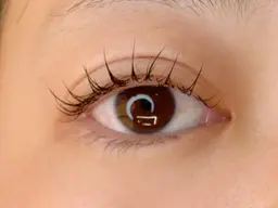 【🦢口コミ投稿限定】【No.1毛質】オードリーコレクションフラットラッシュマツエク100本¥8300→¥4400