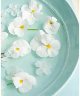 頭皮ケアマッサージシャンプー💆‍♀️➕血行促進ヘッドスパ10分💆‍♀️➕ブローorスタイリング仕上げ🌿