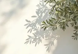 ハンド　ワンカラー　オフなし