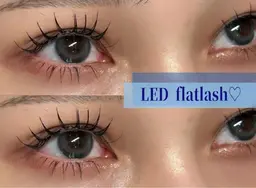 【練習モデル】LED🎀フラットラッシュ100本🎀 ⚠️詳細は下⬇️に必ずお読み頂きご予約お願い致します