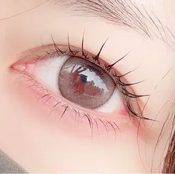 パリジェンヌ上下セット