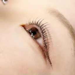 日にち指定ありフラットラッシュ80本無料モデル