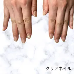 練習モデル  ※オフなしクリア(透明)