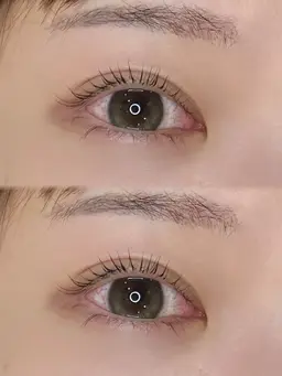 パリジェンヌラッシュリフト+コーティング🧸𖤐⡱