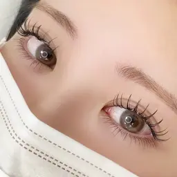 【26日27日限定】フラットラッシュ120本