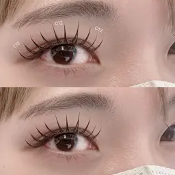 韓国風束間まつ毛👀WFパリエク140本🎀持ちがいい◎（SP付き）