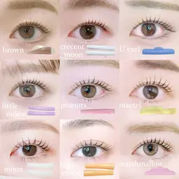 minimo限定価格 ⭐️ オーダーメイド ラッシュリフトorパリジェンヌ (上のみ)¥6,550→¥4,400