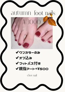 【オフあり】秋🤎🍂フットネイルワンカラー