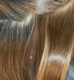 白髪染め⌇リタッチ⌇ S•B込🎀