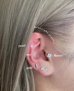 耳ツボジュエリー💎10粒