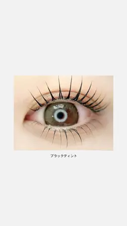 🐈‍⬛まつ毛パーマ+ブラックティント
