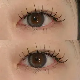 【12月限定】フラットラッシュ120本他店オフ込み｡✧｡･ﾟ