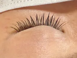 フラットラッシュ(100本まで)