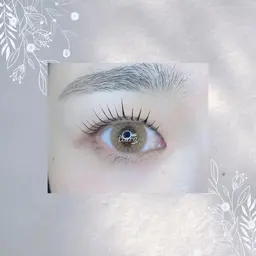 本日限定‼️【口コミ投稿】選べるラッシュリフト