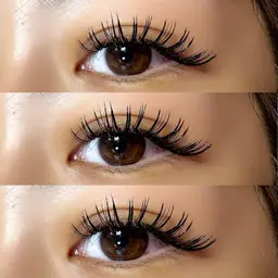 ✴︎ダブルフラットラッシュ120束✴︎