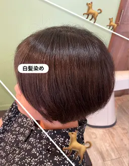 🌱白髪染め🌱