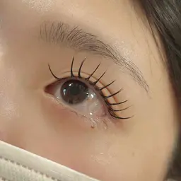 【エクステ×まつ毛パーマ】🌼プレッツェルラッシュ🌼40束