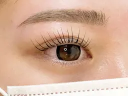 【平日限定】美眉アイブロウWAX×パリジェンヌラッシュリフト